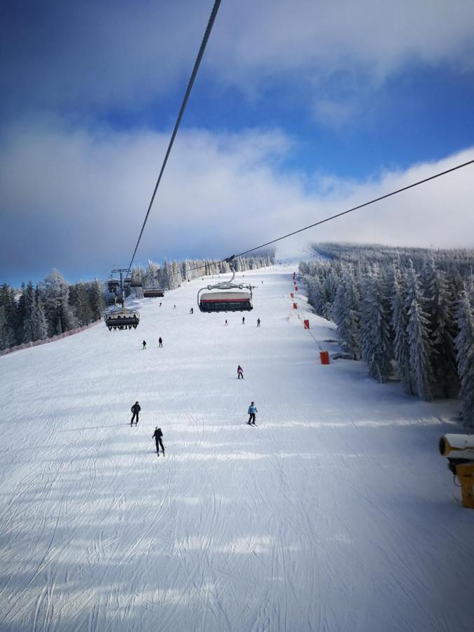Apartment Mountainski